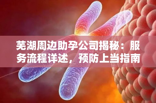 芜湖周边助孕公司揭秘：服务流程详述，预防上当指南