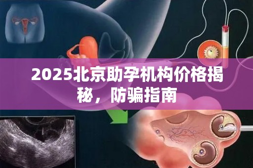 2025北京助孕机构价格揭秘，防骗指南