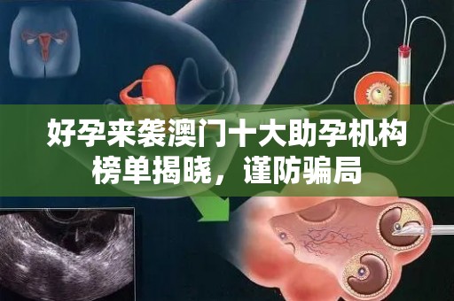 好孕来袭澳门十大助孕机构榜单揭晓，谨防骗局
