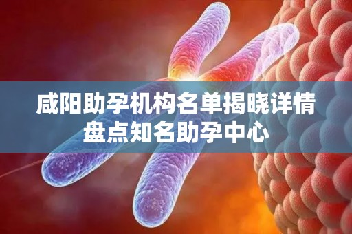 咸阳助孕机构名单揭晓详情盘点知名助孕中心