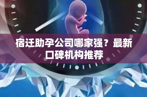 宿迁助孕公司哪家强？最新口碑机构推荐
