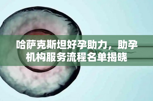 哈萨克斯坦好孕助力，助孕机构服务流程名单揭晓