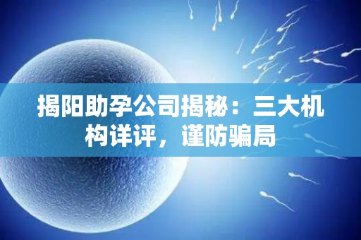 揭阳助孕公司揭秘：三大机构详评，谨防骗局