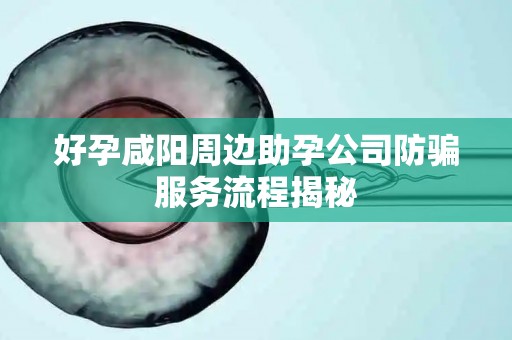 好孕咸阳周边助孕公司防骗服务流程揭秘