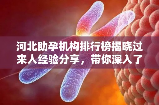 河北助孕机构排行榜揭晓过来人经验分享，带你深入了解十大机构