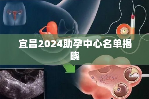 宜昌2024助孕中心名单揭晓