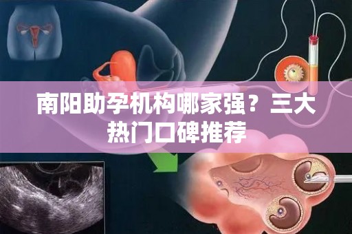 南阳助孕机构哪家强？三大热门口碑推荐