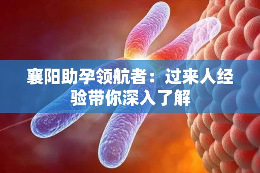 襄阳助孕领航者：过来人经验带你深入了解
