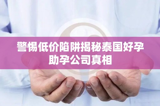 警惕低价陷阱揭秘泰国好孕助孕公司真相