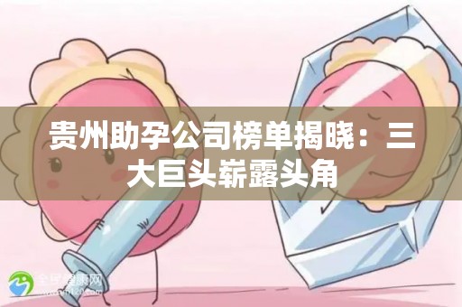 贵州助孕公司榜单揭晓：三大巨头崭露头角