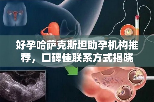 好孕哈萨克斯坦助孕机构推荐，口碑佳联系方式揭晓