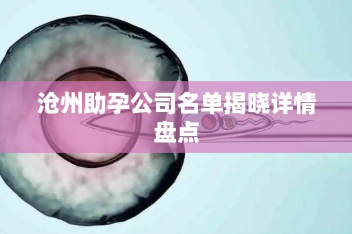 沧州助孕公司名单揭晓详情盘点