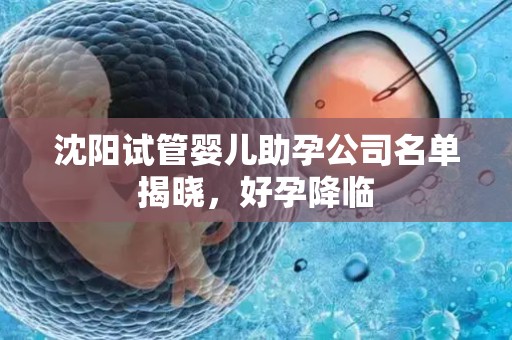 沈阳试管婴儿助孕公司名单揭晓，好孕降临