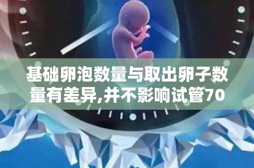 基础卵泡数量与取出卵子数量有差异,并不影响试管70%受精率