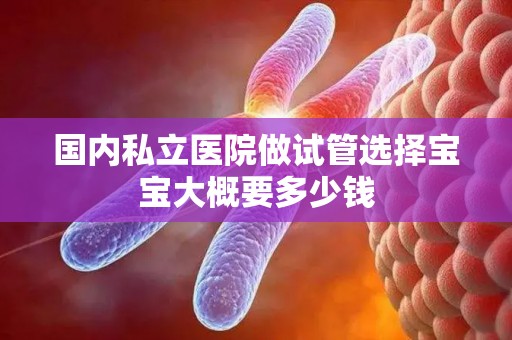 国内私立医院做试管选择宝宝大概要多少钱