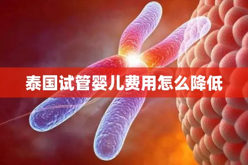 泰国试管婴儿费用怎么降低