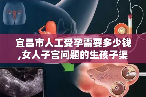 宜昌市人工受孕需要多少钱,女人子宫问题的生孩子渠道