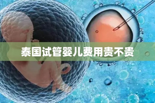 泰国试管婴儿费用贵不贵