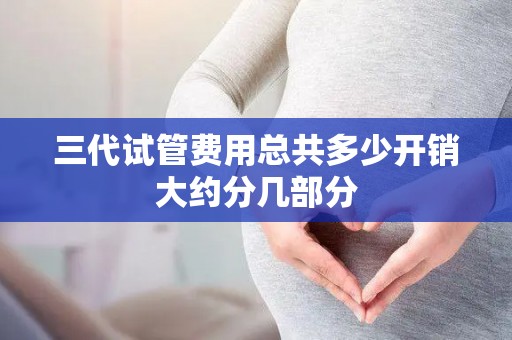 三代试管费用总共多少开销大约分几部分