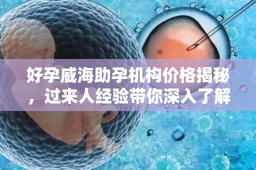 好孕威海助孕机构价格揭秘，过来人经验带你深入了解