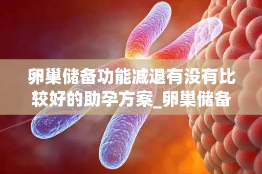 卵巢储备功能减退有没有比较好的助孕方案_卵巢储备衰退可以做试管婴儿吗