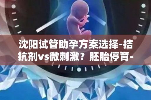 沈阳试管助孕方案选择-拮抗剂vs微刺激？胚胎停育-胎盘早剥风险预防指南!