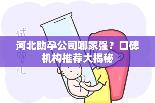 河北助孕公司哪家强？口碑机构推荐大揭秘
