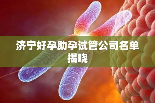 济宁好孕助孕试管公司名单揭晓