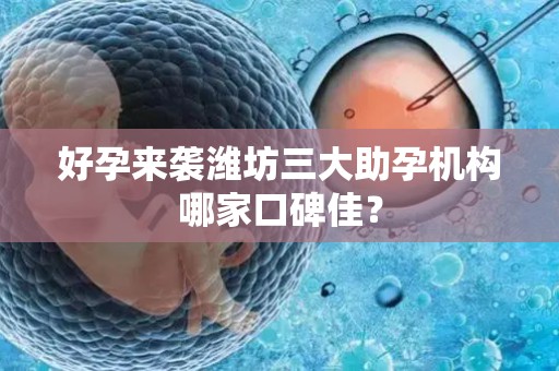 好孕来袭潍坊三大助孕机构哪家口碑佳？