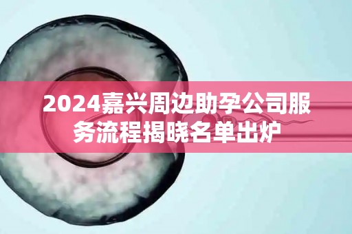 2024嘉兴周边助孕公司服务流程揭晓名单出炉