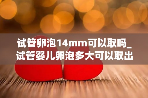 试管卵泡14mm可以取吗_试管婴儿卵泡多大可以取出卵子!