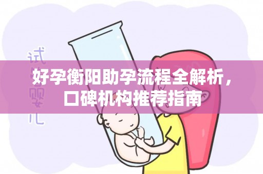 好孕衡阳助孕流程全解析，口碑机构推荐指南