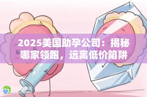 2025美国助孕公司：揭秘哪家领跑，远离低价陷阱