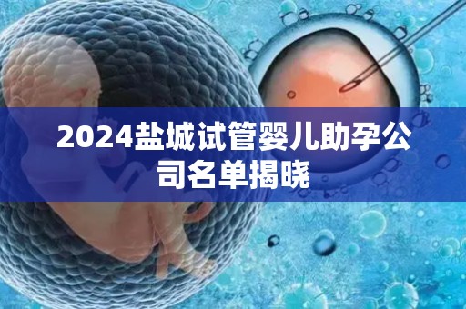 2024盐城试管婴儿助孕公司名单揭晓